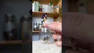 Butterfly Pea Flower Tea – Natural Herbal Tea from Vietnam – Trà Hoa Đậu Biếc Tự Nhiên 💙🌸