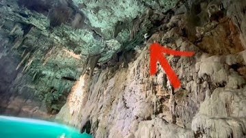 Mexico’s best Cenote🇲🇽 (Xcanahaltun)