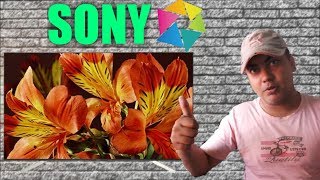Sony XBR-55X700D – 55″ Class 4K Ultra HD TV with Slim Wall Mount Bundle includes TV, Slim Flat Wall Mount Ultimate Kit and 6 Outlet Power Strip with Dual USB Ports Sony KD-55X8500F | 55 inch Ultra HD | 4K LED Smart TV