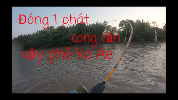 Chia sẽ Thời điểm cá ngát ăn mồi lúc chuyển mùa mưa |Thành Kiệt