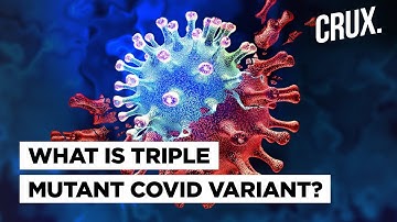 Triple Mutation Variant Detected In India; Why Are So Many Mutations & Variants Emerging?