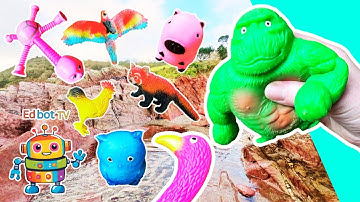 Leer de namen van dieren voor baby