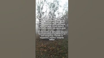 4 am - 2024 (snippet)  #mood #альтухи #дурка #snippet