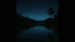 i3lsh | Silent Nightfall Official Audio