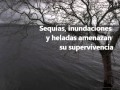 Superárboles chilenos