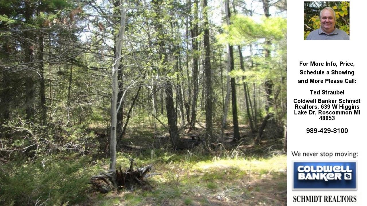 XXX WIDGEON Rd, Newberry, MI Presented by Ted Straubel.