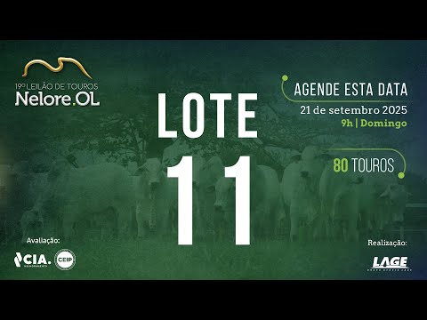 LOTE 11 V30372 - 19º Leilão de Touros Nelore OL