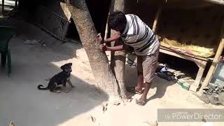 Louis Murmu And The Dggy