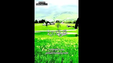 سورة الحاقه بصوت غسان الشوريجي " فاما من اوتي كتابه بيمينه فيقول هاؤم اقروا كتابيه "