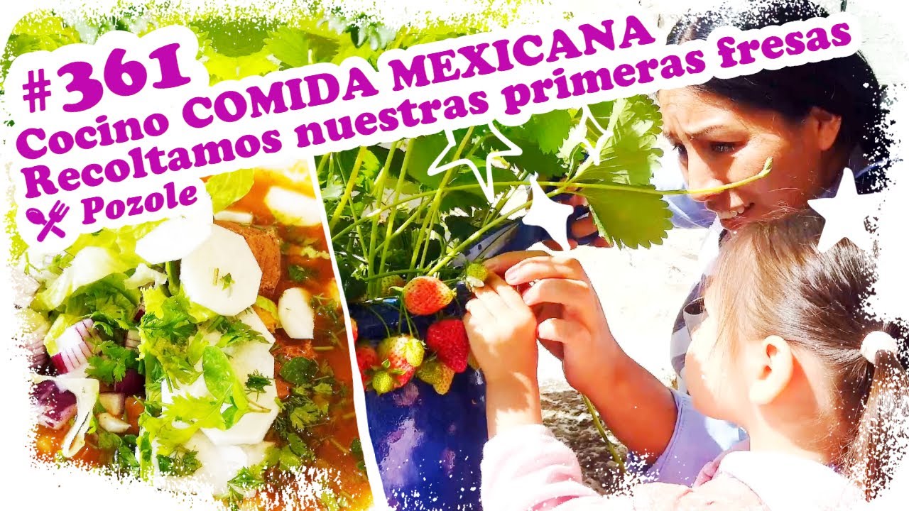 🍓 Cocino COMIDA MEXICANA, Recoltamos nuestras primeras fresas 🍓 ~ Mandarina con Mate