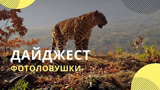 «Экология России»: дайджест лучших видео из заповедников и нацпарков