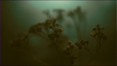 The Monster Club Alaska - The End of Time