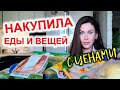 ПОКУПКИ для всей семьи и дома С ЦЕНАМИ. ПРОДУКТОВАЯ закупка + покупки для дома.