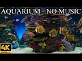Dream aquarium 4k underwater sounds no music no ads  fish tank underwater ambience