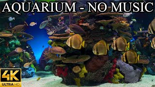 Dream AQUARIUM 4K Underwater Sounds NO Music NO Ads - Fish Tank Underwater Ambience