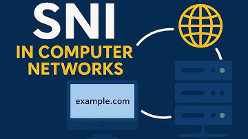 SNI - A Comprehensive Overview