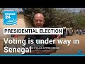 Senegal votes in delayed presidential election • FRANCE 24 English