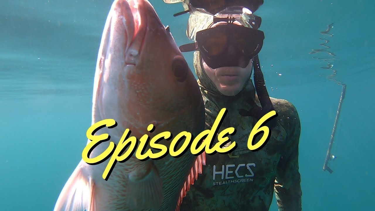 Episode 6 - Spearfishing mangrove