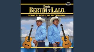 Video thumbnail of "Bertín y Lalo - Quererte Jamás"