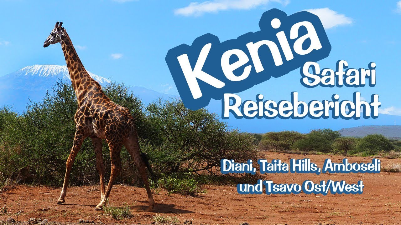 kenia safari wo