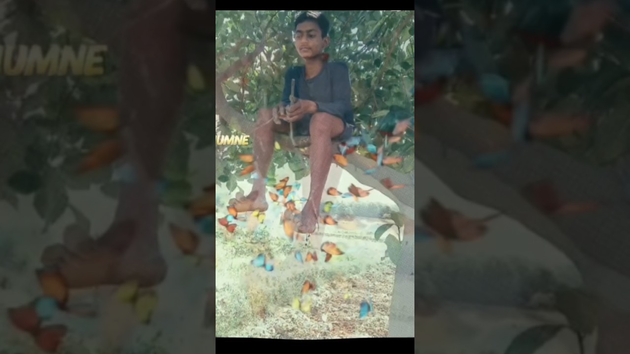 my old photo short video 🥰 new trending song short video 