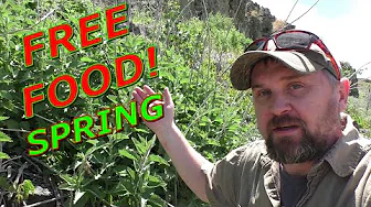Plants For Survival