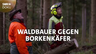 Waldbauer gegen Borkenkäfer - Andreas gibt nicht auf | SWR Doku