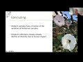 Oceanic island museonmics - St Helena: A Unique Environment, A Rich Tapestry