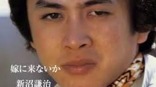 嫁にこないか