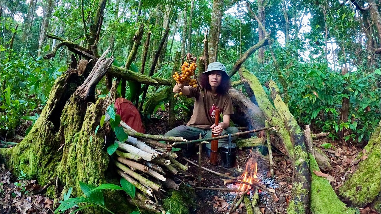 หาอาหารและนอนในป่า...!!  บนเขาสูง  3 วัน Ep.1 [ โจโฉ ]