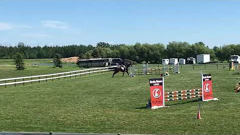 SputnikII and Valerie Leighton: .90m jumper classi...