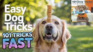 Learn 101 AMAZING Dog Tricks in Just 5 Minutes a Day!