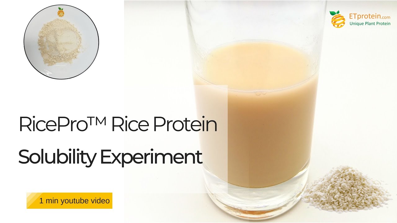 RicePro™ Standard rice protein Solubility Experiment-1 min-ETprotein