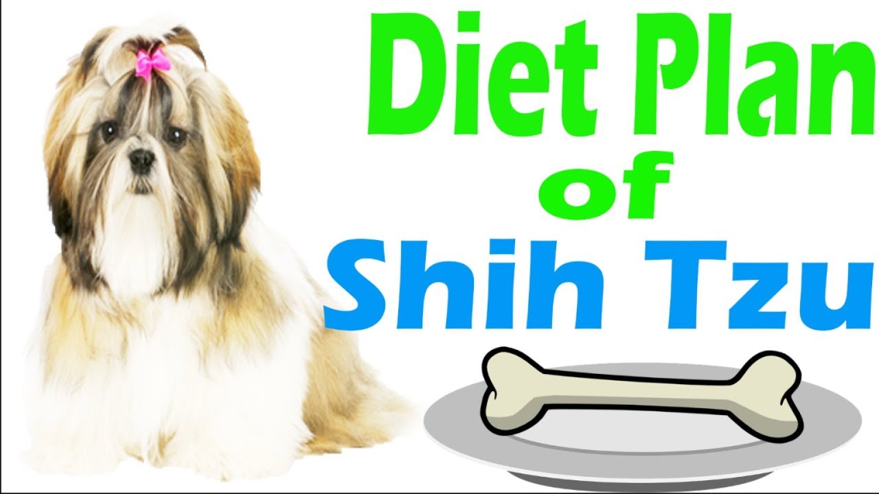 Lhasa Apso Food Chart