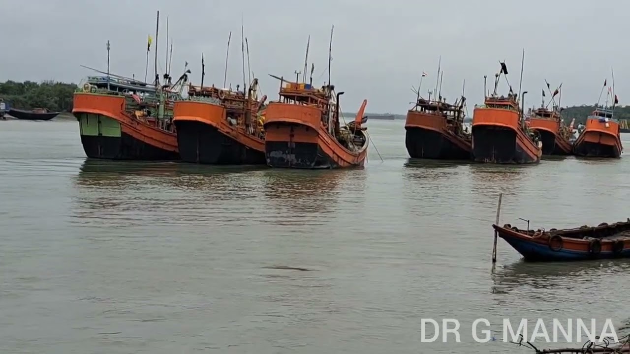 এগিয়ে যাচ্ছে রুপালী চাষের ফসল তোলার প্রায় মাঝপথে এসে পৌঁছে গিয়েছে।