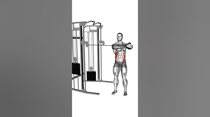SEITLICHE BAUCHMUSKELN TRAINIG  #muskelaufbau #krafttraining #muskelaufbautipps #trainingstipps