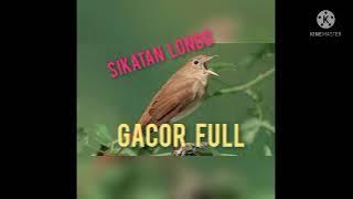 Sikatan londo durasi panjang