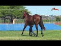 LOTE 13 CASEMIRO DIEGO RFX