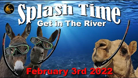 Splash Time - The Poor, Widows & Orphans