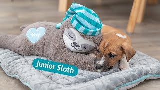 Dog toy sloth - calming help to fall asleep and get used to life - Trixie Heimtierbedarf by TRIXIE UK 665 views 11 months ago 48 seconds