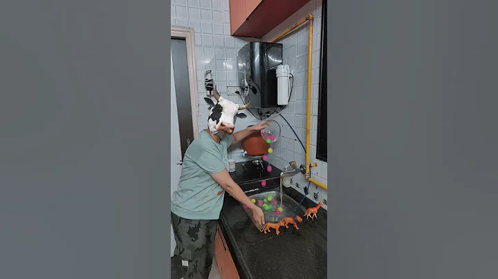 Watch the video about Cow is playing with water 💦🥤 #sphynx #cute #video #viralreels #shortfeed #funny #cartoon #animals