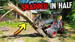 Massive Broken Pin Oak Climbed