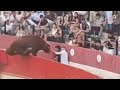 PÁNICO al SALTAR TORO ARRIAZU en la plaza toros de Corella