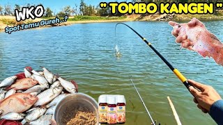 ' TOMBO KANGEN '💥 MANCING DI WKO WADUK KEDUNG OMBO TERBARU.💥 💦