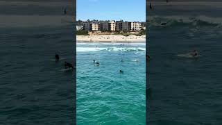 Pacific Beach Surfers in San Diego California #sandiego #pacificbeach #california #usa