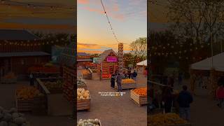 This is your sign to visit Tulleys Pumpkin Nights #londonthingstodo