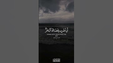 "أروع تلاوات الشيخ أحمد النفيس – جودة عالية"