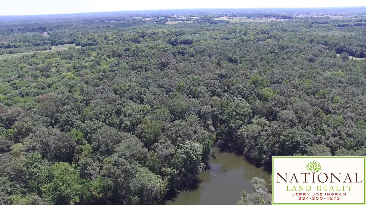 LAND FOR SALE Lowndes Co Al 388ac Video YouTube