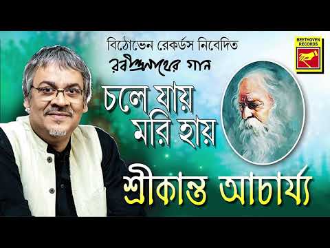 ভিডিও: বসন্তের সবচেয়ে ফ্যাশনেবল আঁটসাঁট পোশাক এবং লেগিংস