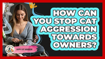 How Can You Stop Cat Aggression Towards Owners? - Happy Cat Handbook